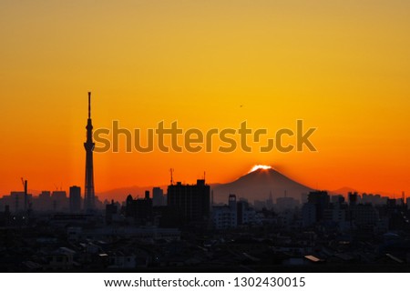 画像ページを表示します 画像