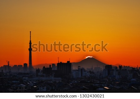画像ページを表示します 画像