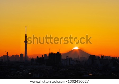 画像ページを表示します 画像