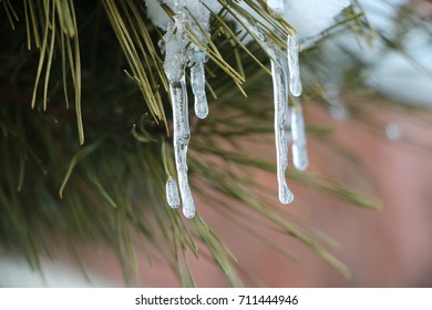 icicle