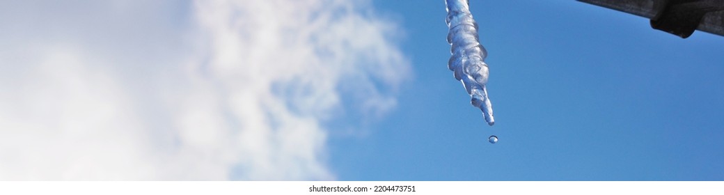Icicle against blue sky and white cloud. Drop of melted snow drips. Closeup. Icicle hangs from rain gutter on roof. Banner or header about beginning of spring. Winter thaw. Macro
