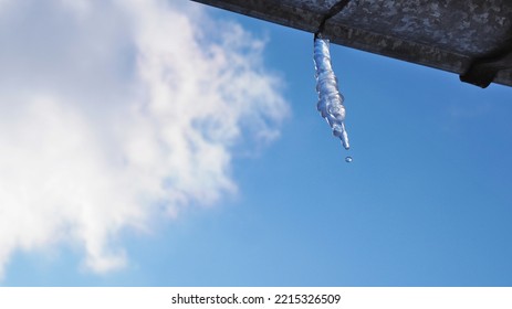 Icicle against blue sky and white cloud. Drop of melted snow falls down. Close up. Icicle hangs from rain gutter on roof. Illustration about end of winter or beginning of spring. Thaw. Macro