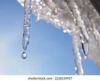 Icicle Against Light Blue Sky. Drop Of Melted Snow Falls Down. Close Up. Illustration About Beginning Of Spring. Winter Thaw. Macro