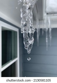 Icicle Dripping Water In Winter