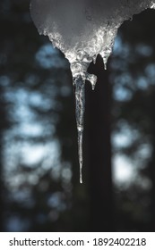 Icicle Macro Photo, Blue And Black Background 