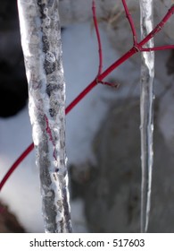 Icicle and Tree
