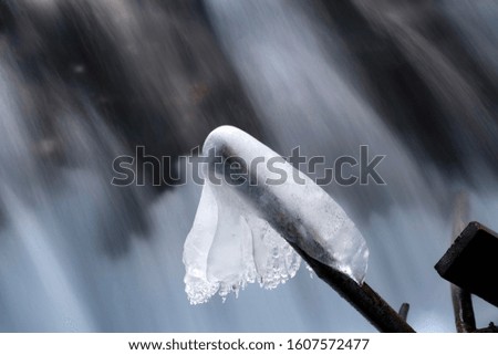 Snowy Bunting Twig Snowcap