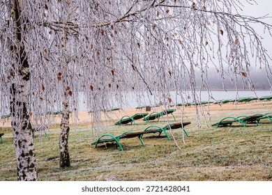 Icicles hang from tree branches, casting a magical sheen over deserted lounge chairs by the lake.