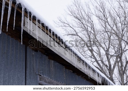 Icicles hanging down on a rustic metal barn roof from corrugated metal roof