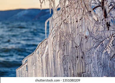 Icicles Hanging On A Tree Branches At Baikal Lake