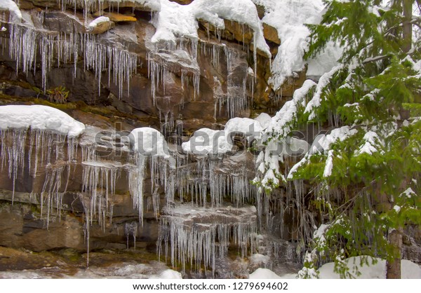 Icicles Hanging Rock Ledges Snow Pine Stock Photo Edit Now