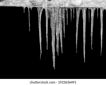 Icicles hanging from the roof on a black background. Spring melting snow with morning frost. Close-up. Natural icicles in a group of different sizes
