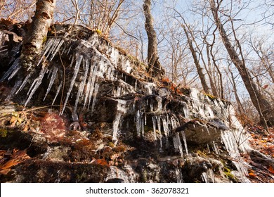 Icicles On A Hiking Trail In The North Georgia Mountains