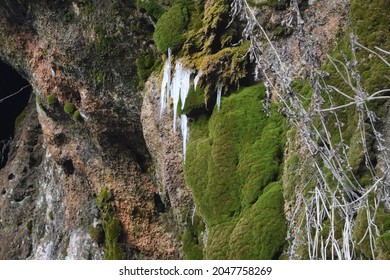 Icicles On A Mossy Rock Wall, Bad Urach, Germany