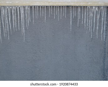 icicles on the woall of the building