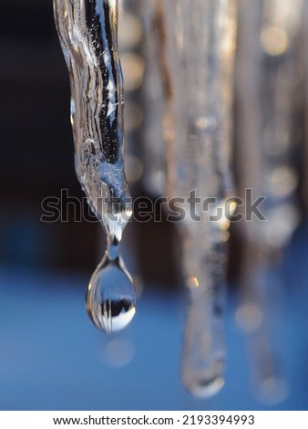 Icicles in the rays of a winter sunset close up. Focus on the icicle. Drop of melt water in blur. Snow is melting. Vertical illustration on the theme of  thaw and beginning of spring. Macro