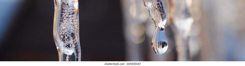 Icicles in the rays of a winter sunset close-up. Focus on the icicle. Drop of melt water in blur. Snow is melting. Banner or headline on the theme of  thaw and beginning of spring. Macro - Powered by Shutterstock