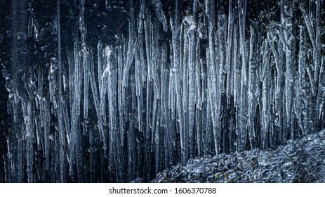 Icicles in a small creek in the forests of Oslo, Norwa