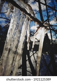 Icicles in the spring sun. 