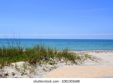 Iconic beach dunes at the entrance to Indian Shores beach in Florida
