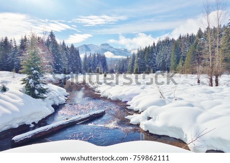 Iconic & beautiful winter scene with deep snow on ground in Cascade Mountains of WA state with a creek meandering through the snow, snow covered log in water, snowy evergreens & mountain background.