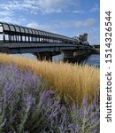 Iconic Downtown Waterloo Iowa cover pedestrian bridge