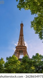 The iconic Eiffel Tower seen from below illuminated by the light of the sunset rising among lush green vegetation under a clear blue sky.