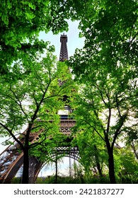 The Iconic Eiffel Tower seen in the Spring through flowering trees and across the Seine River