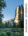 The iconic granite rock monolith, El Capitan, lit be the early morning sunrise, from the valley floor in Yosemite Valley, found in the Sierra Nevada Mountains of California.