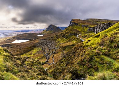 Iconic lone tree overlooking the dramatic hills and winding road of the Quiraing on the Isle of Skye, Scotland, creating a powerful mountain landscape with vibrant colors and natural textures.