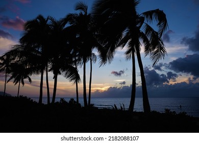 Iconic Orange, Yellow Sunset In Hawaii With Sun Setting On Pacific Ocean Horizon.  Palm Trees In The Foreground Silhouetted Against Blue Cloud And Sunset Sky.  No People And Lots Of Copy Space.