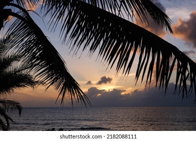 Iconic Orange, Yellow Sunset In Hawaii With Sun Setting On Pacific Ocean Horizon.  Palm Trees In The Foreground Silhouetted Against Blue Cloud And Sunset Sky.  No People And Lots Of Copy Space.