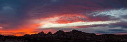 Iconic Panoramic Sunset Views In Joshua Tree National Park With Pink Purple Orange Panorama Scenic Landscape In California. Silhouette Of Rock, Trees In Tourist, Travel, Camping, Outdoor Popular Park.