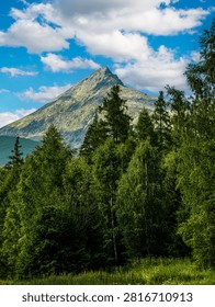 The iconic, triangular peak of Mount Krivan towers over a lush, green pine forest under a bright blue sky filled with scattered white clouds