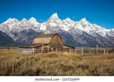 Iconic wooden barn of Mormon Row Historical District in agriculture field with background of snowcapped Grand Teton mountain range with clear blue sky.