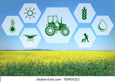 Icons And Field On Background. Concept Of Smart Agriculture And Modern Technology