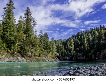 an Icy cold clear blue river flows between the fir trees in a northern Californian forest