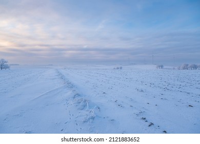 Icy Field In The Middle Of Nowhere