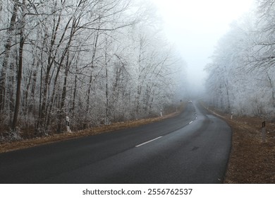 icy ice road transportation foggy fog misty mist forest winter asphalt - Powered by Shutterstock