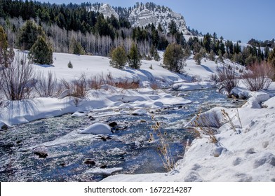 Icy Mountain Stream in Utah:  Bright sunlight sparkles on the surface of a stream flowing through ice and snow in the Mt. Naomi Wilderness Area of northeast Utah.
