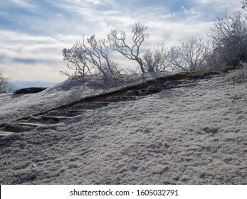 An Icy Stairway Leading To A Hike Along The Blue Ridge Parkway In Winter. 