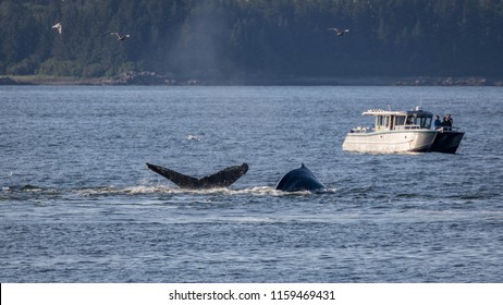 Icy Strait Point, Alaska