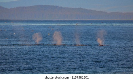 Icy Strait Point, Alaska