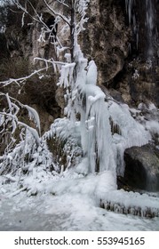 icy tree