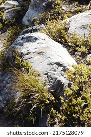 Idaho Nature Beautiful Butterflies And Hot Springs