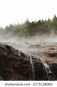 Idaho Nature Beautiful Butterflies And Hot Springs