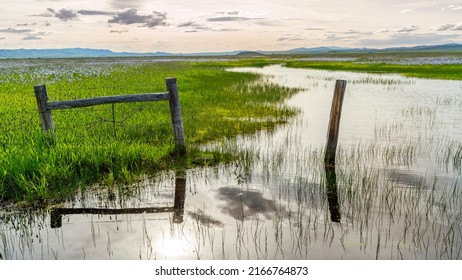 Idaho Nature Marsh With A Barbed Wire Fence