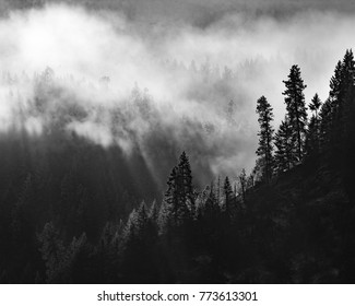 Idaho Panhandle National Forest