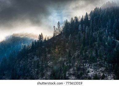 Idaho Panhandle National Forest