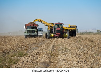 Idaho Potatoes Being Harvested